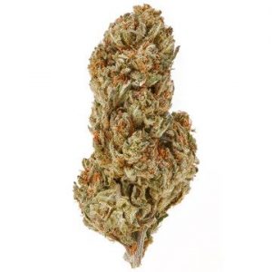 Banana Kush CBD Hemp Flower