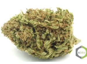 Suver Haze CBD Hemp Flower