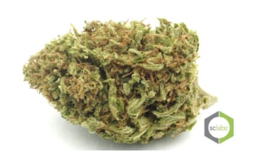 Suver Haze CBD Hemp Flower